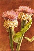 (image for) Handmade Oil painting for home canvas, oil painting framed canvas for living room John Singer Sargenti's art Thistle